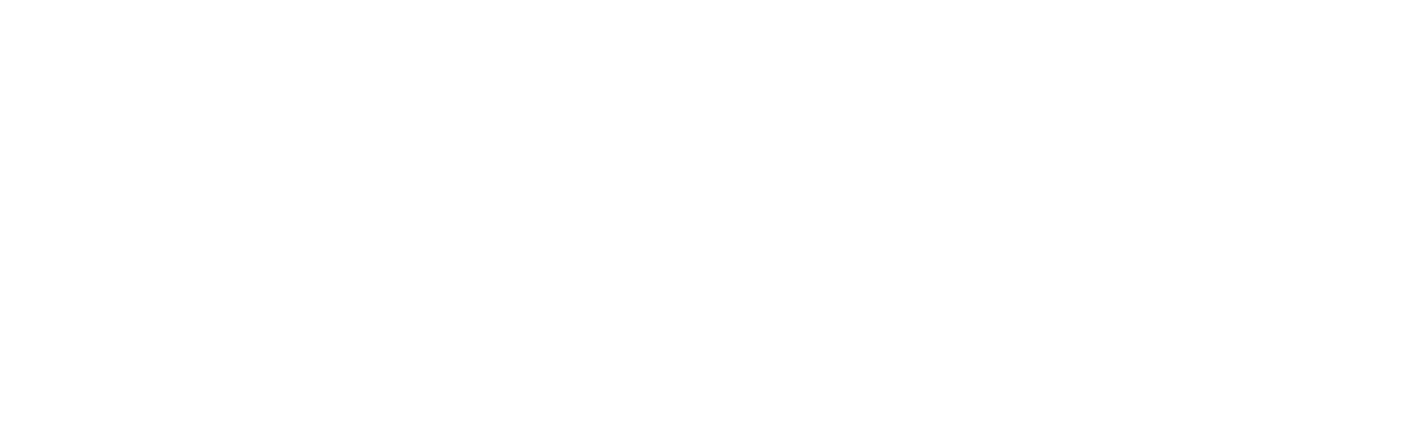 tempolor-所念即所响